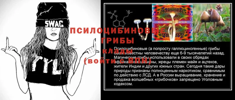 Псилоцибиновые грибы Psilocybe  Полярный 